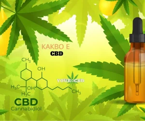 CBD kakvo e to