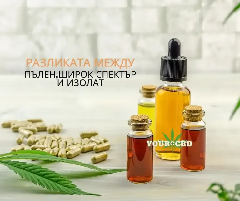 RAzlika mejdu palniq i shirokiq spektar CBD masla