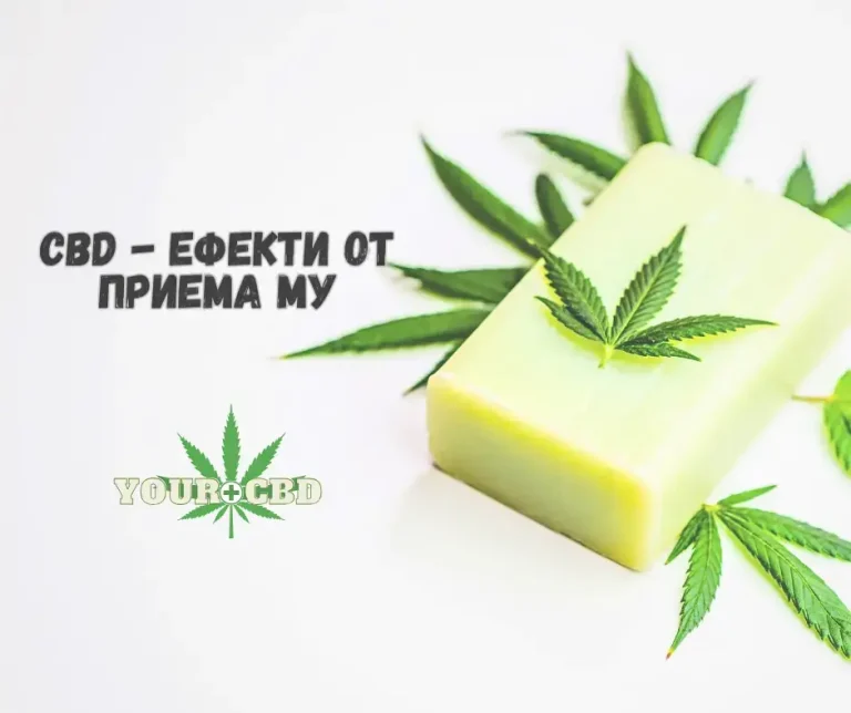 Priem na CBD.Kakvi sa efektite.
