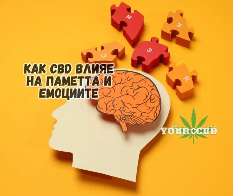 CBD za pamet i emocii