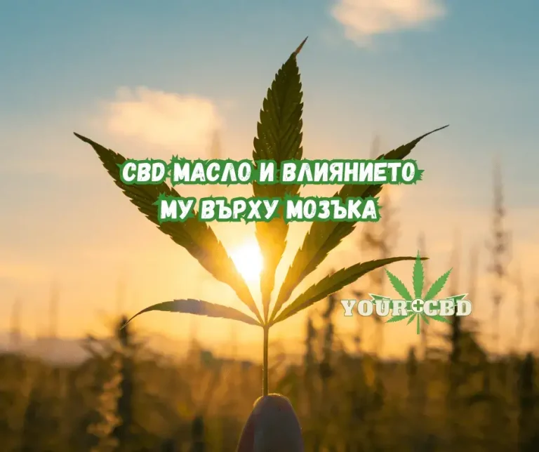 CBD i vliqnieto mu varhu mozaka