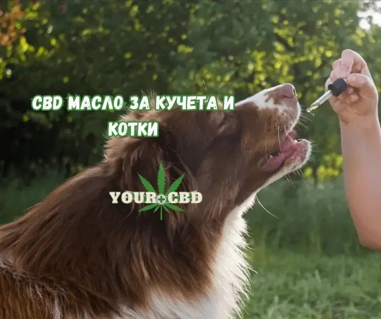 Konop za domashnite liubimci