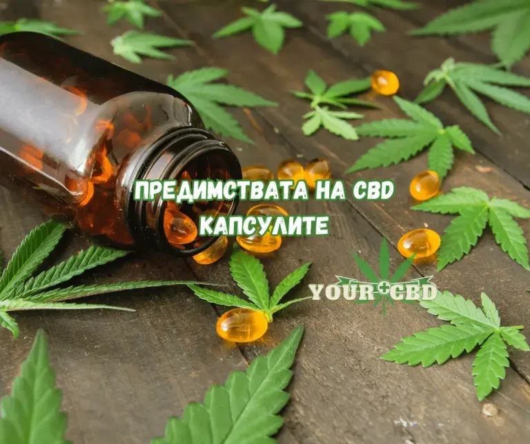 CBD kapsuli