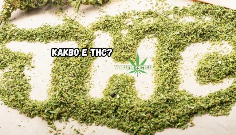 THC - kakvo predstavlqva tozi kanabinoid
