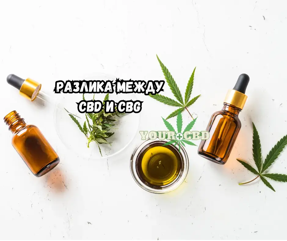CBD i CBG.Po kakvo se razlichavat