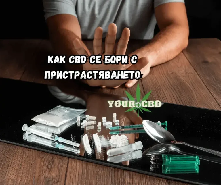 CBD za vazstanovqvane