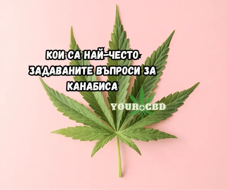 Vaprosi za kanabisa