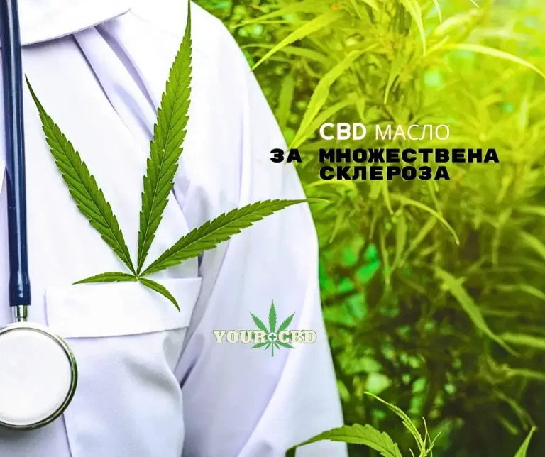 CBD maslo za mnojestvena skleroza