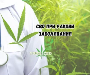 Kak CBD pomaga pri rak