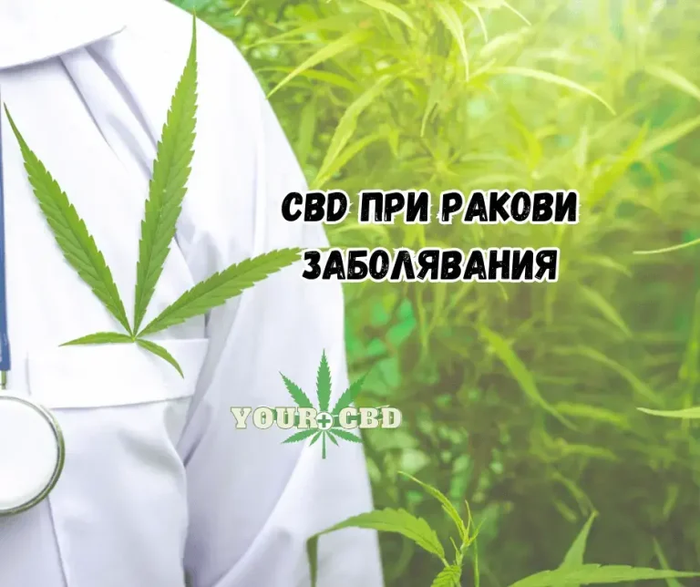 Kak CBD pomaga pri rak