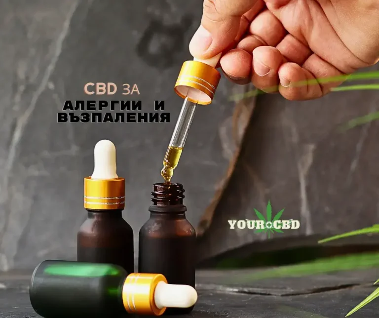 CBD maslo lekuva alergii i vazpaleniq