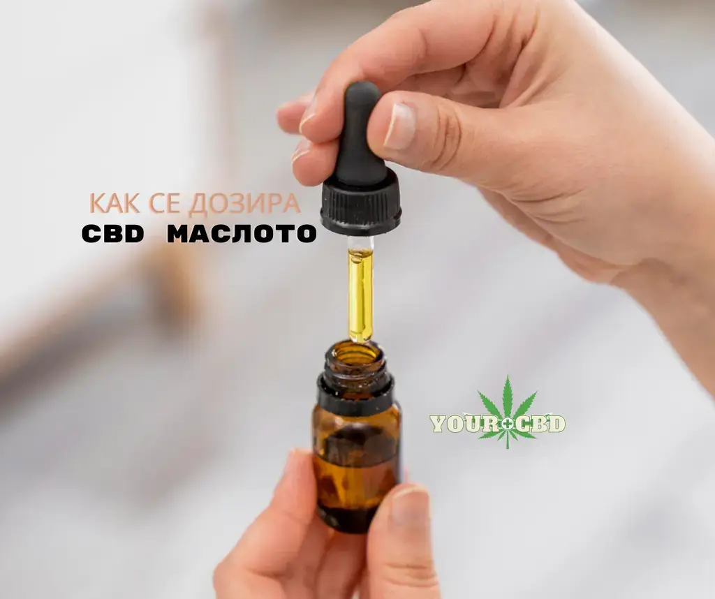 Dozirane na CBD maslo.Opredelqne na podhodqshtata doza